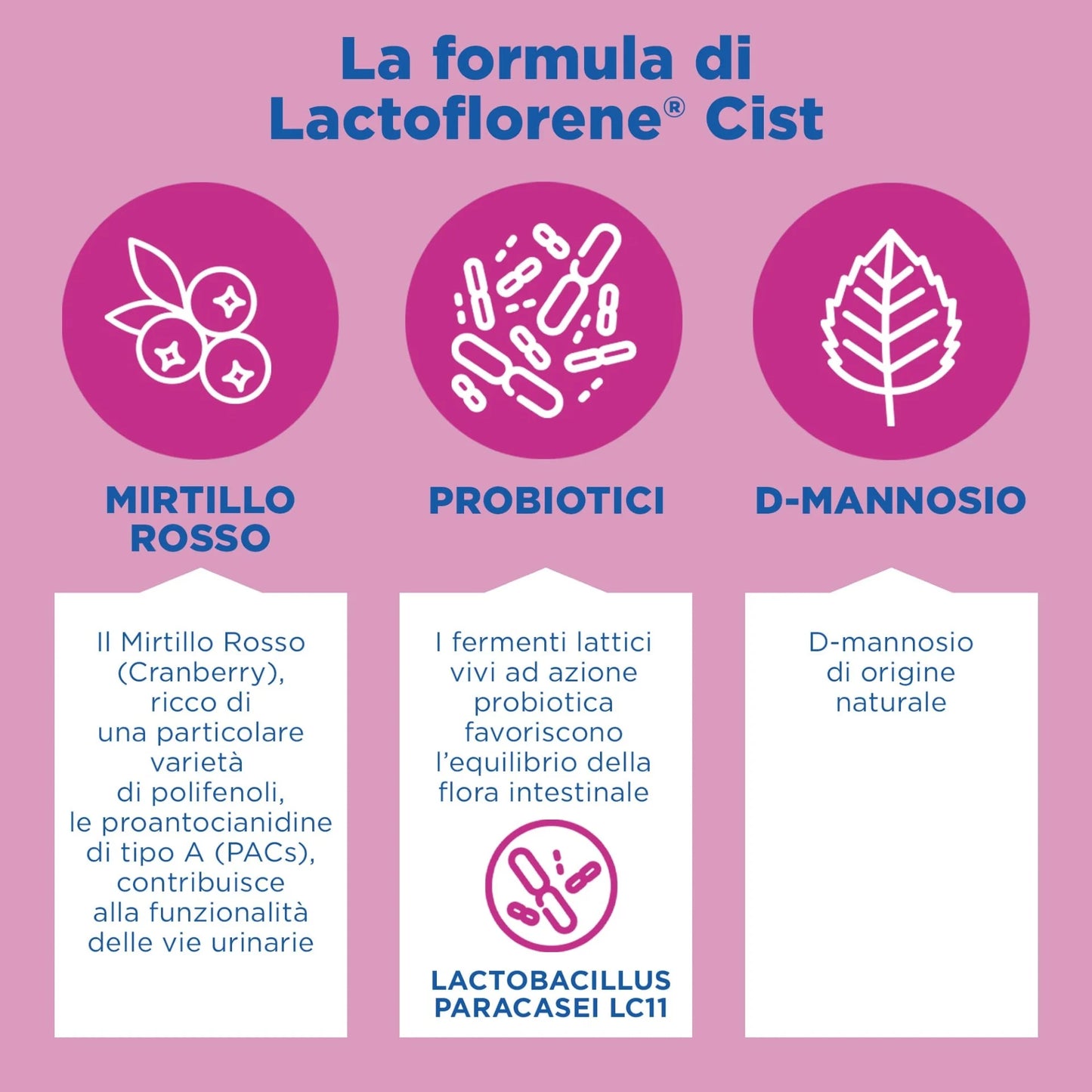 Lactoflorene Cist – 20 Bustine