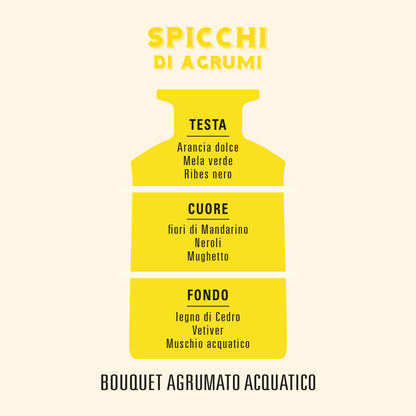 Spicchi di Agrumi (Agrumi Speziati) – Diffusore per ambiente - Helan
